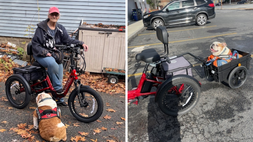 Photo 1 shows a woman on a 3-wheeled e-bike with bulldog sitting next to her on the ground. Photo 2 shows the dog sitting in trailer attached to back of e-bike.