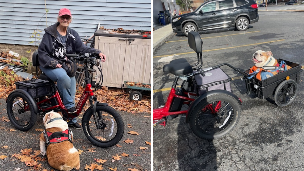 e-trike photo combo for beacon Photo 1 shows a woman on a 3-wheeled e-bike with bulldog sitting next to her on the ground. Photo 2 shows the dog sitting in trailer attached to back of e-bike.